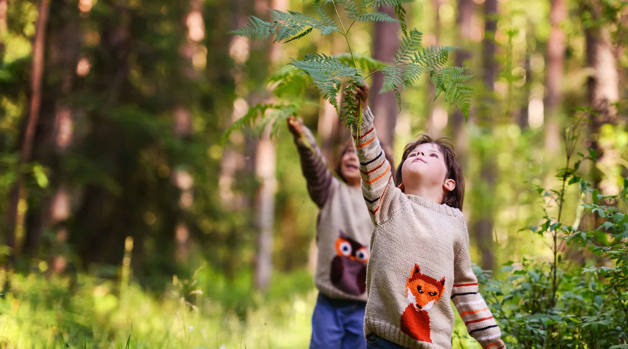 Kids playing in a forest